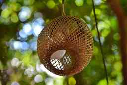 Rattan Avizeler