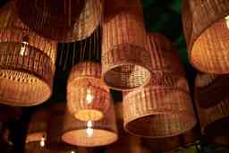 Bambu Avizeler