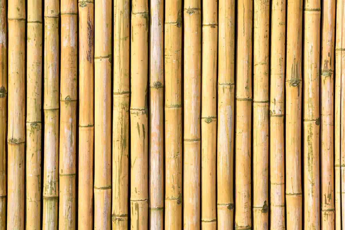 Bambu Hasır