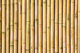 Bambu Hasır