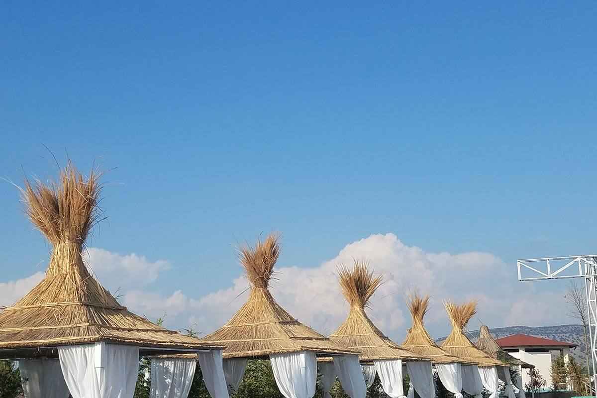 Kamelya Nedir?